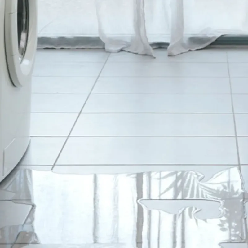 Appliance Leak Cleanup in Discovery Bay, CA